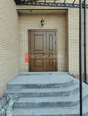 Фото двери №431