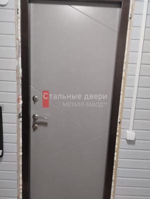 Фото двери №377